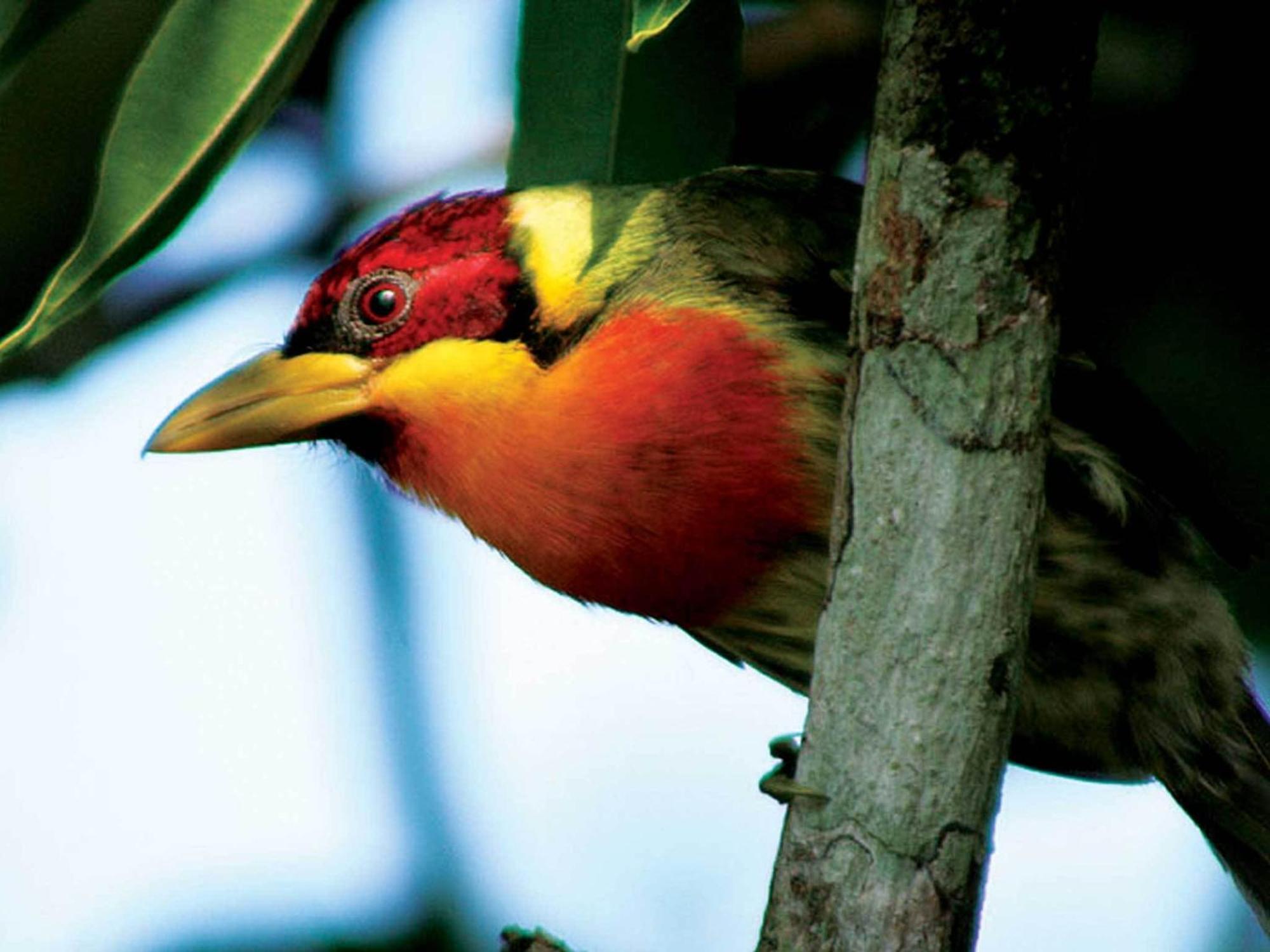 Inkaterra Reserva Amazonica Пуэрто-Мальдонадо Экстерьер фото