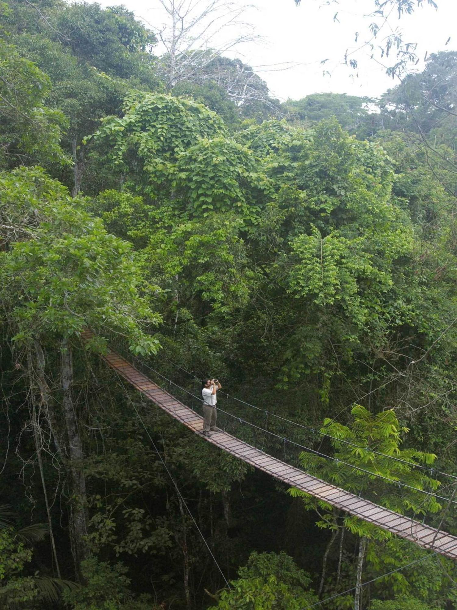 Inkaterra Reserva Amazonica Пуэрто-Мальдонадо Экстерьер фото