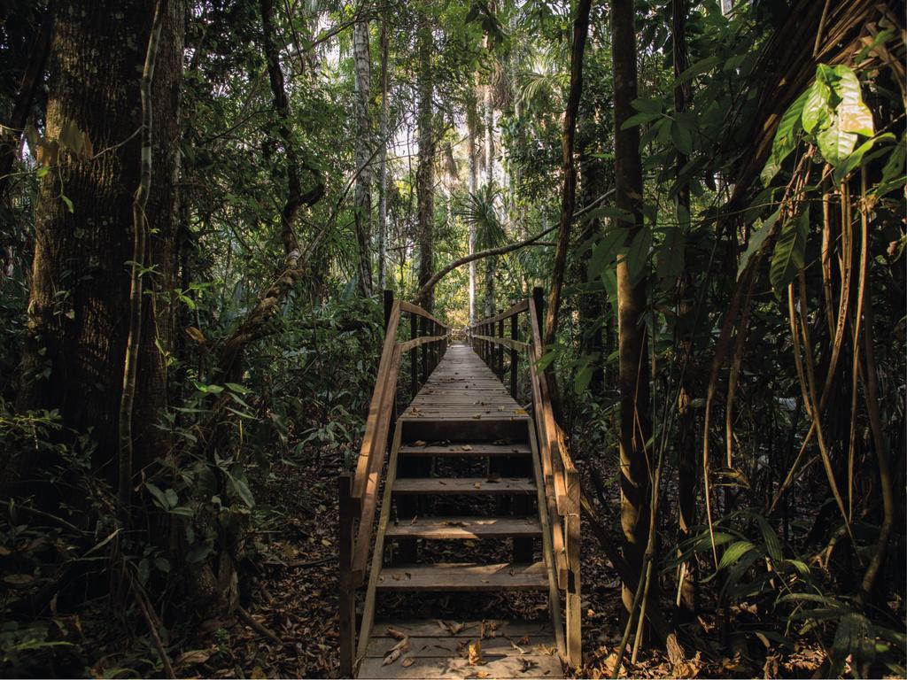 Inkaterra Reserva Amazonica Пуэрто-Мальдонадо Экстерьер фото